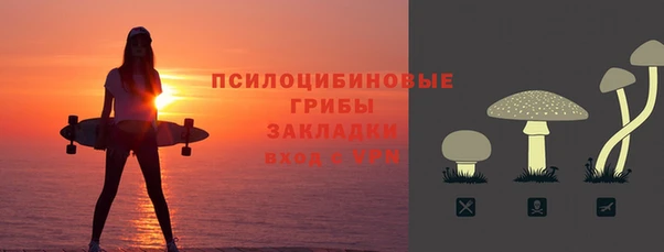 крисы Вяземский
