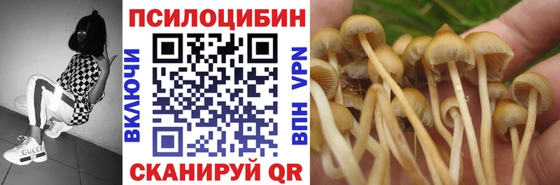Псилоцибиновые грибы ЛСД  Нижний Новгород 